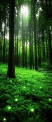 Obraz premium A serene forest scene illuminated by sunlight, featuring tall trees and lush greenery, with magical glowing elements enhancing the enchanting atmosphere.