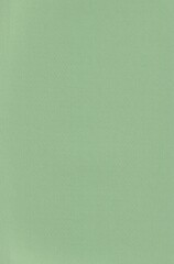 Fototapeta premium 緑色の紙