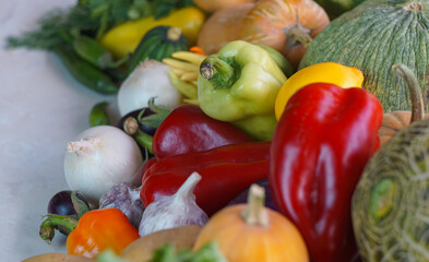 melons, watermelons and various vegetables are planted