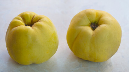 Two large quinces on the table by the window