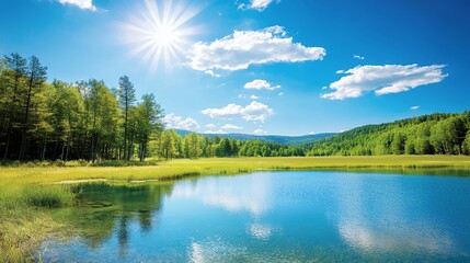 Fototapeta premium Bright Sunny Day at a Serene Lake Surrounded by Lush Green Trees