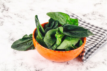 Ripe green spinach leaves heap