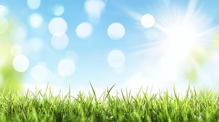 Bright Sunny Day Green Grass Meadow Background