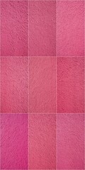 Fototapeta premium A series of pink images with a pink background. The images are all different shades of pink. The mood of the images is playful and fun