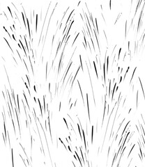 wheat field background