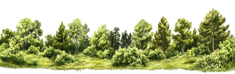 Fototapeta premium Serene Panoramic Forest Landscape with Lush Greenery and Pastel Foliage