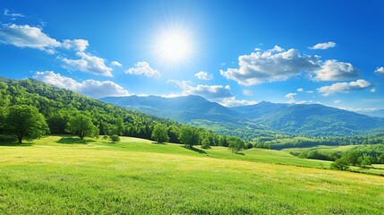 Bright Sunny Day Landscape with Lush Green Field and Distant Mountains