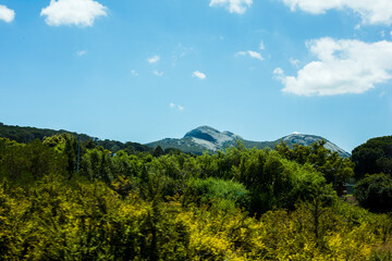 landscape, trees, mountain in background under sky with clouds.