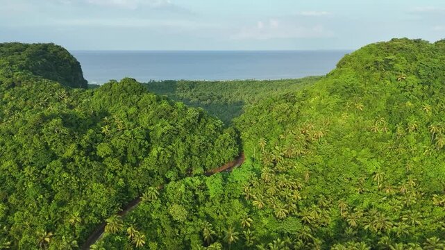 Lush Tropical Valley, Philippines: Aerial View of Forest, Road, and Ocean Vista