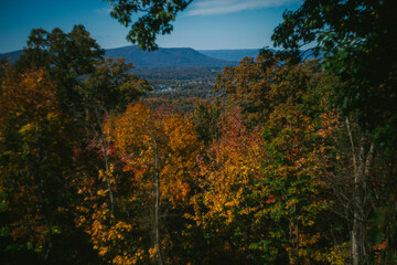 Fototapeta premium Overlook of the Blue Ridge Mountains in the Fall Season