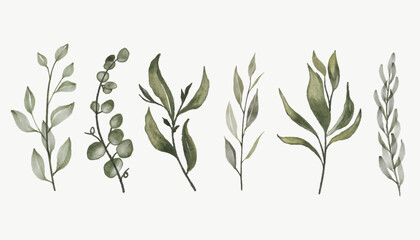 Realistic Leaf Watercolor Set nature