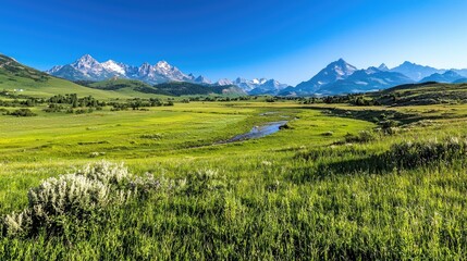 Scenic valley, mountains, river, green meadow, summer