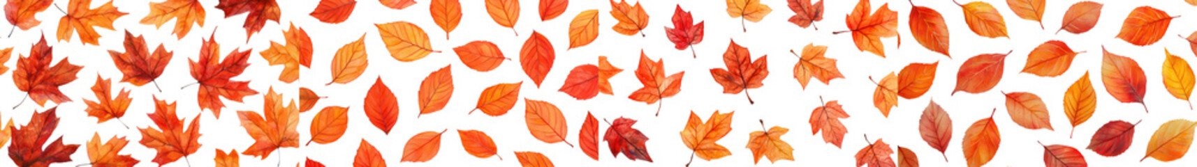 Fototapeta premium Vibrant red orange and yellow autumn leaves forming a natural carpet on the forest floor creating a beautiful and cozy autumnal scenery