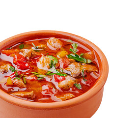Hearty stew with meat and fresh vegetables served in clay pot