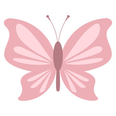 Adorable Butterfly [Recovered]