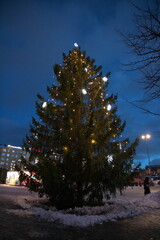 本物のクリスマスツリーフィンランド