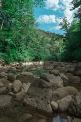 Picturesque green forest on the river bank with large stones