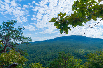 Obraz premium Picturesque view of green valley in summer