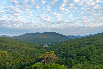 Picturesque view of green valley in summer