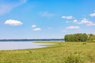 Meadow landscape by a lake in a rural landscape in the summer