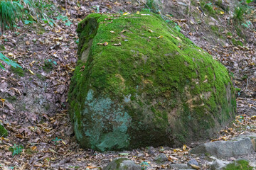 Big rock covered with moss in the forest in summer