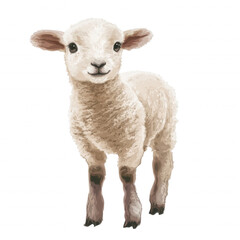 Fototapeta premium Cute Sheep with Halo Clipart- Religious Easter Cliparts 