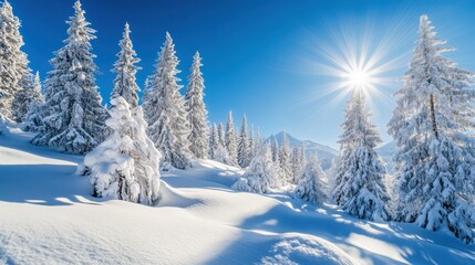 A breathtaking winter landscape with snow-laden trees under a clear, sunny sky
