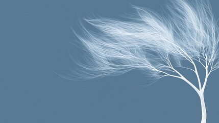 Fototapeta premium White Tree Branches Swaying in the Wind