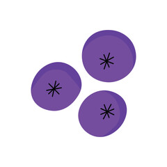 Flat illustration of blueberries with black star shaped calyx, shaded in purple.
