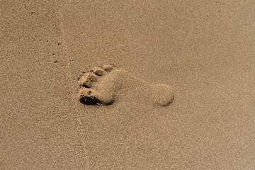 footprint in sand
