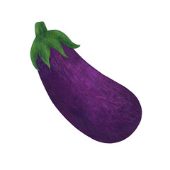 Purple eggplant, handmade digital illustration isolated on a white background