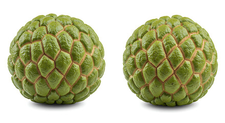 Fototapeta premium Custard Apple white background
