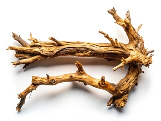 Fototapeta premium A rectangular composition showcases the intricate detail of a dry branch, macro photographed against a clean white backdrop.