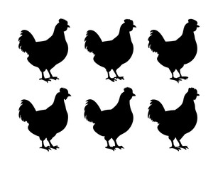 six chicken silhouettes isolated on white