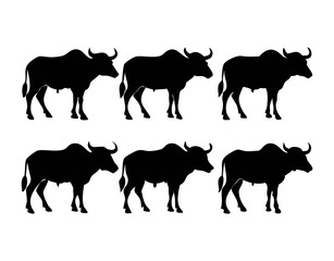 Buffalo Silhouettes Set isolated on white