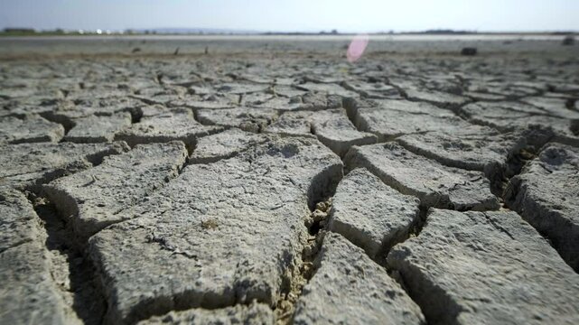 Barren, cracking earth revealing severe drought conditions in crimean landscape, signaling devastating climate change effects