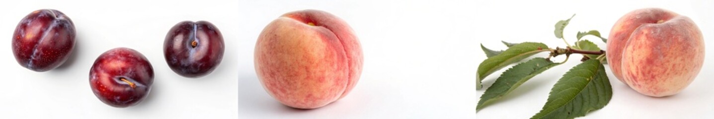 Fototapeta premium A vibrant arrangement of plums and peaches with leaves, emphasizing freshness and color.