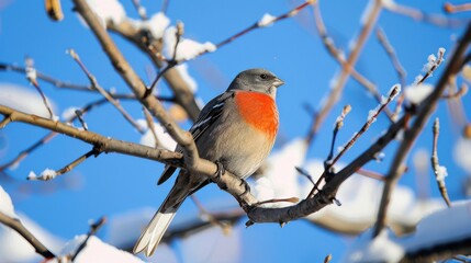 Beautiful winter scene with a bird perched on a branch under a clear blue sky while surrounded by snow