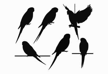 Budgie Silhouette Design Collection Vector Template © creativestore