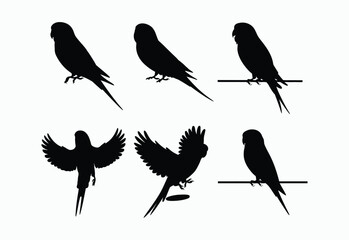 Cute Budgie Silhouette Collection Vector Template