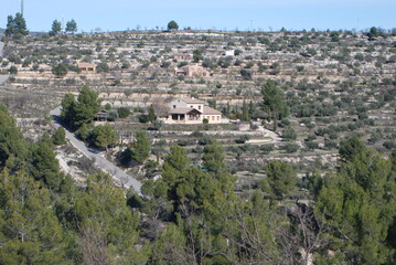 Obraz premium Campo con casita