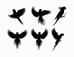 Elegant Parrot Silhouette EPS Template Design