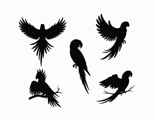 Exotic Parrot Silhouette EPS Template Collection