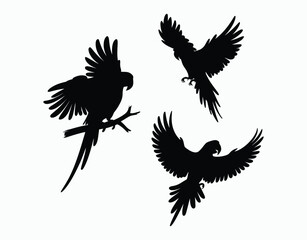 Minimal Parrot Silhouette EPS Template Design