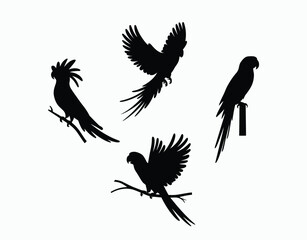 Parrot Flying High Silhouette Collection Vector Template