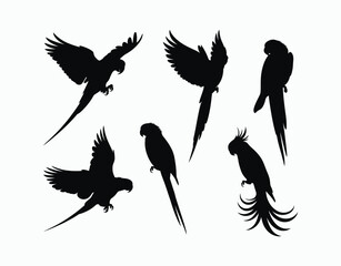 Nature Parrot Silhouette EPS Template Collection