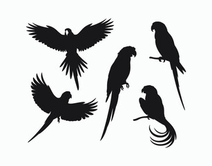 Parrot Silhouette EPS Template Art Collection