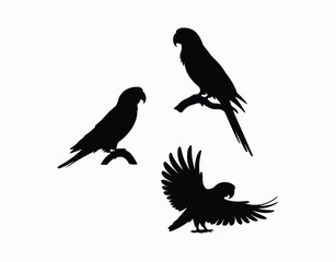 Parrot Silhouette EPS Template Design Collection