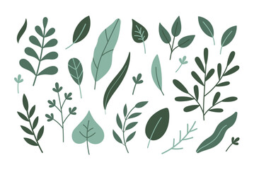 Fresh herbs concept. Cute hand drawn herbs, leaves, branches. Vector cartoon icons, stickers isolated on white background. Herbs collection. Spring herbs, leaves.