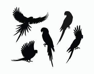 Wild Parrot Silhouette EPS Template Design